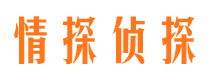 平武侦探